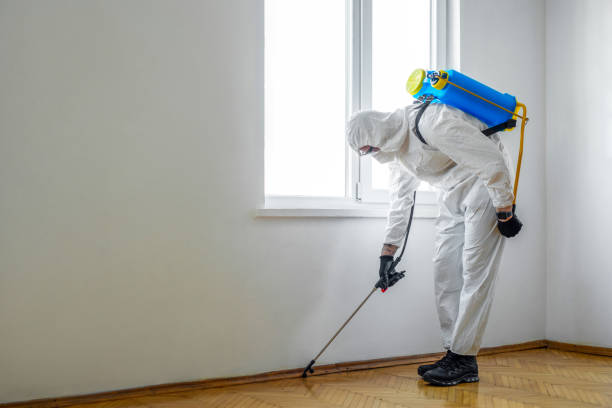Best Affordable Pest Control Services  in Bon Air, VA