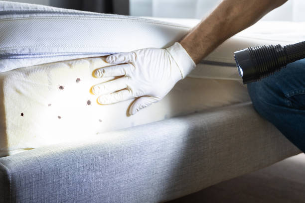 Best Affordable Pest Control Services  in Bon Air, VA