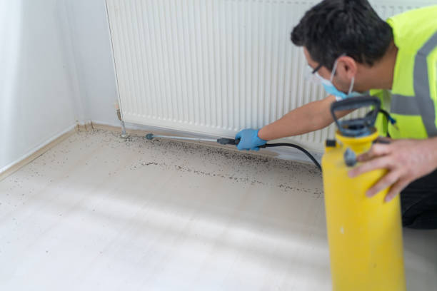 Best Residential Pest Control  in Bon Air, VA